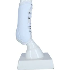 Harry's Horse Beinschutz Elite-R Grand Prix Schwarz Vollblut -Waldhausen Verkäufe 2024 agradi a1113397 5.22595f