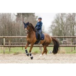 ANKY Fliegenhaube Leafs Dunkel Olivgrün -Waldhausen Verkäufe 2024 anky a37423 l011 43.f6b312