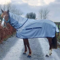 Bucas Buzz-Off Rain & Neck Zebra -Waldhausen Verkäufe 2024 bu buzz off rain neck 160242.768bea