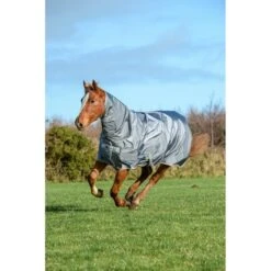 Bucas Halsstück Smartex Combi Neck Iron Gate -Waldhausen Verkäufe 2024 bucas 620 623 626 smartex turnout combi neck iron gate 9785.f8b5bd