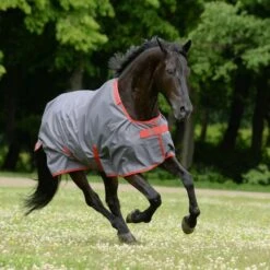 Bucas Irish Turnout Light 50g Navy/Gold -Waldhausen Verkäufe 2024 bucas 656 659.5c956e