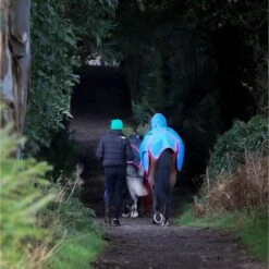 Bucas Freedom Turnout Full Neck 300g Navy -Waldhausen Verkäufe 2024 bucas freedom turnout full neck denim p6393.c8af05