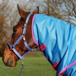 Bucas Freedom Turnout Full Neck 300g Navy -Waldhausen Verkäufe 2024 bucas freedom turnout full neck dublin halter lead rope denim 673 412 212 p5279.4da53c