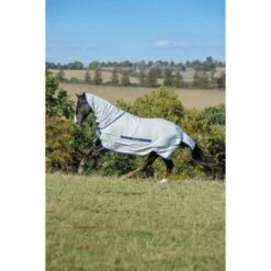 Bucas Sweet-itch Silber -Waldhausen Verkäufe 2024 bucas sweet itch silver 645 p0479.79e5c7