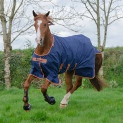 Bucas Turnout Light Jubilee X-Range Navy