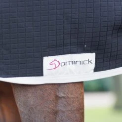 Dominick Thermo Rug Navy/Grau -Waldhausen Verkäufe 2024 dominick dom dominick fleece rug 3.bf281f