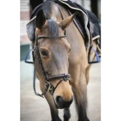 PÉNÉLOPE Pénélope Trense Point Sellier Havanna -Waldhausen Verkäufe 2024 ekkia 301600218 1.cb1dac