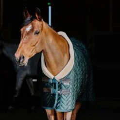 EQUITHÈME Stalldecke Velvet Teddy Schwarz -Waldhausen Verkäufe 2024 ekkia 400 825 963 ambi1.e023a9