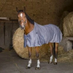 EQUITHÈME Decke Cool Dry Grau -Waldhausen Verkäufe 2024 ekkia z06781 400 738 163 ambi.b39f23