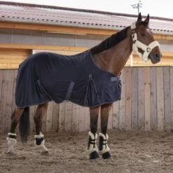 EQUITHÈME Decke Cool Dry Grau -Waldhausen Verkäufe 2024 ekkia z06781 400 738 763 ambi1.ffba22