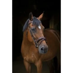 Eric Thomas Trense Pro Wave Schwarz -Waldhausen Verkäufe 2024 ekkia z07230 307 701 318 ambi.759c9d