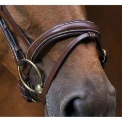 Eric Thomas Trense Pro Wave Schwarz -Waldhausen Verkäufe 2024 ekkia z07230 307 701 318 ambi det1.05b6ef