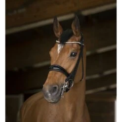 Norton Kandarenzaum Schwarz