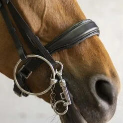 Norton Kandarenzaum Diadème Schwarz -Waldhausen Verkäufe 2024 ekkia z07819 303 035 302 det2.e01028