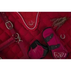 Lami-Cell Fliegenhaube Himbeerrot Warmblut -Waldhausen Verkäufe 2024 ekkia22 320 008 035 ambi1.06b819