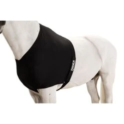 Eskadron Brustschutz DynAirMesh Schwarz -Waldhausen Verkäufe 2024 eskadron3103 esk 313000 240 290 add2.c3276f