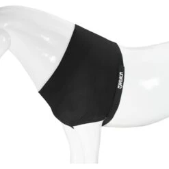 Eskadron Brustschutz DynAirMesh Schwarz