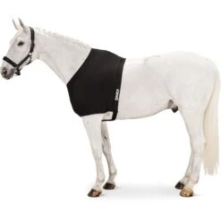 Eskadron Brustschutz DynAirMesh Schwarz -Waldhausen Verkäufe 2024 eskadron3103 esk 313000 240 290 f.14e67e