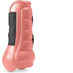 Gatusos Sehnenschutz Koralle Pony -Waldhausen Verkäufe 2024 gatusos pony delantero detras coral.5163ad