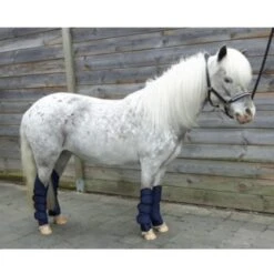 HB Ruitersport Transportgamaschen Little Sizes Rosa -Waldhausen Verkäufe 2024 hb 1303 navy 1.2bccd6