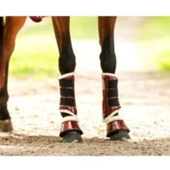 HB Ruitersport Beinschutz Grün Shetland -Waldhausen Verkäufe 2024 hb 226 burgundy.086f35