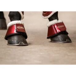 HB Ruitersport Hufglocken Crown Forest-Green -Waldhausen Verkäufe 2024 hb 231 burgundy.4e1d86