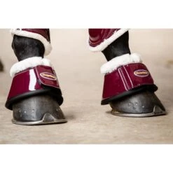 HB Ruitersport Hufglocken Crown Forest-Green -Waldhausen Verkäufe 2024 hb 231 cherry.cd048c