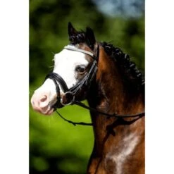 HB Trense Luxe Little Sizes Rosa -Waldhausen Verkäufe 2024 hb 312 wit.b38a12 2