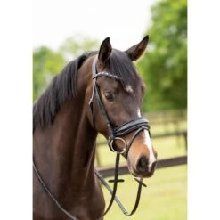 HB Showtime Zaum Las Vegas Schwarz/Navy Funkeln -Waldhausen Verkäufe 2024 hb 369 navy.033184 1