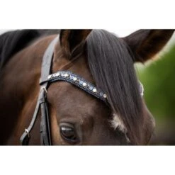 HB Showtime Zaum Las Vegas Schwarz/Navy Funkeln -Waldhausen Verkäufe 2024 hb 369 navy.6b39e8 1