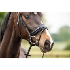 HB Showtime Zaum Las Vegas Schwarz/Schwarz Funkeln -Waldhausen Verkäufe 2024 hb 369 navy.ceb246