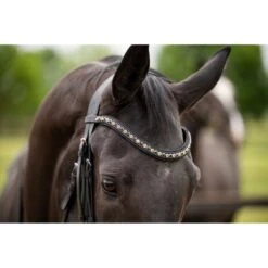 HB Showtime Zaum Las Vegas Schwarz/Schwarz Funkeln -Waldhausen Verkäufe 2024 hb 369 zwart goud.022dc7