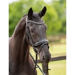 HB Showtime Zaum Las Vegas Schwarz/Navy Funkeln -Waldhausen Verkäufe 2024 hb 369 zwart goud.117c7e 1