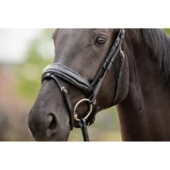 HB Showtime Zaum Las Vegas Schwarz/Navy Funkeln -Waldhausen Verkäufe 2024 hb 369 zwart goud.5b4b4c 1