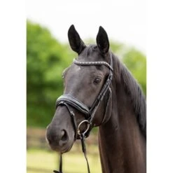 HB Showtime Zaum Las Vegas Schwarz/Navy Funkeln -Waldhausen Verkäufe 2024 hb 369 zwart goud.8fb072 1