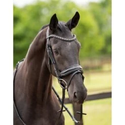 HB Showtime Zaum Las Vegas Schwarz/Navy Funkeln -Waldhausen Verkäufe 2024 hb 369 zwart goud.f6f232 1