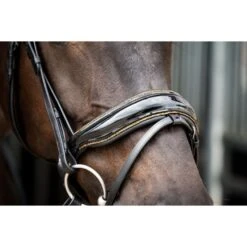 HB Showtime Zaum Golden Dreams Schwarz/Gold Funkeln -Waldhausen Verkäufe 2024 hb 392.540a27