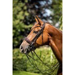 HB Showtime Kandarenzaum Special For You Braun/Golden Glitter -Waldhausen Verkäufe 2024 hb 395 bruin.8ada54