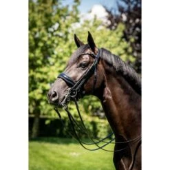 HB Showtime Kandarenzaum Special For You Braun/Golden Glitter -Waldhausen Verkäufe 2024 hb 395 grey.a65a09