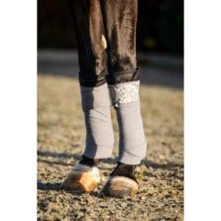 HB Ruitersport Bandagen Showtime Lake View Set Rose Gold One Size -Waldhausen Verkäufe 2024 hb 687 grey.602bfb