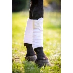 HB Ruitersport Bandagen Lake View Olivgrün One Size -Waldhausen Verkäufe 2024 hb 687 pearlwit 1.88b6f0