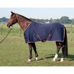 Harry's Horse Jersey Cooler Decke Schwarz -Waldhausen Verkäufe 2024 hh 32200093 navy.0ee0c2
