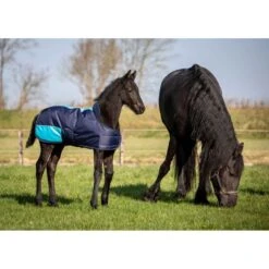 Harry's Horse Fohlendecke TwoTone Schwarz 65 -Waldhausen Verkäufe 2024 hh 32200598 navy 3.342b00