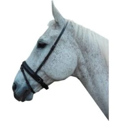 Horka Nasenriemen Band Schwarz/Silber