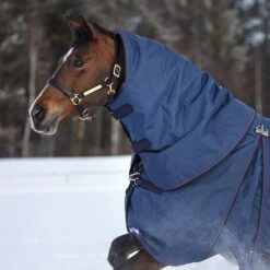 Rambo Halsstück Optimo 150g Navy/Burgund/Teal -Waldhausen Verkäufe 2024 horseware aaafnb bqgb 1200x1500.5d4736