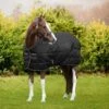 Amigo Liner Diamond Insulator 100g Schwarz/Silber -Waldhausen Verkäufe 2024 horseware abrdm2 kki0 amigo diamond insulator medium 200g.d8e12c