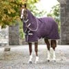 Amigo Stable Plus Medium Navy/Tan -Waldhausen Verkäufe 2024 hsw abrdt2 gfbm 1.0eb5c8