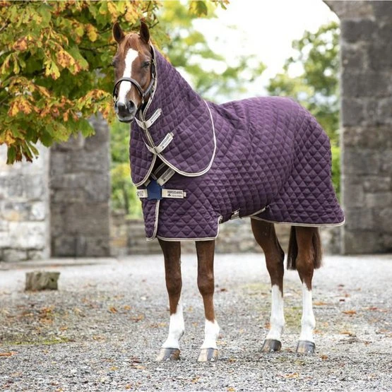 Amigo Stable Plus Medium Navy/Tan 3 Amigo Stable Plus Medium Navy/Tan