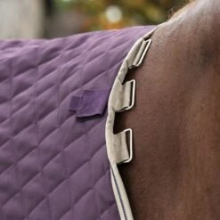 Amigo Stable Plus Medium Navy/Tan 25 Amigo Stable Plus Medium Navy/Tan -Waldhausen Verkäufe 2024 hsw abrdt2 gfbm 4.c4d50f