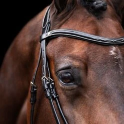 HV Polo Zaum Legacy Braun 9 HV Polo Zaum Legacy Braun -Waldhausen Verkäufe 2024 hvpolo 9013a60095f253e8ae1f6d9e2b6c1a48e4edb21d 1201093500 9000 msidel scaled.cdc105